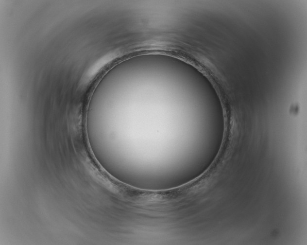 X0000113621450200910021816