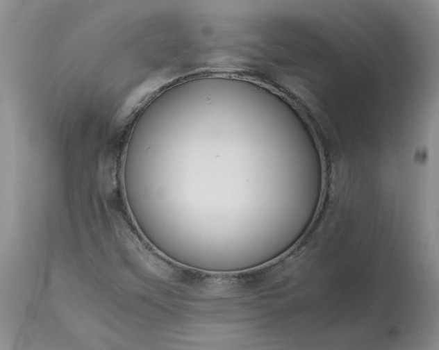 X0000113621451200910021816