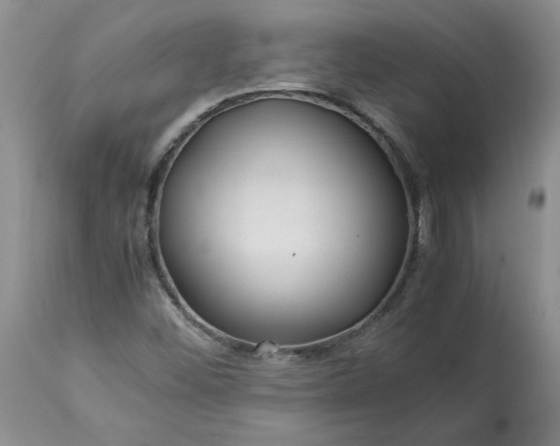 X0000113621452200910021816