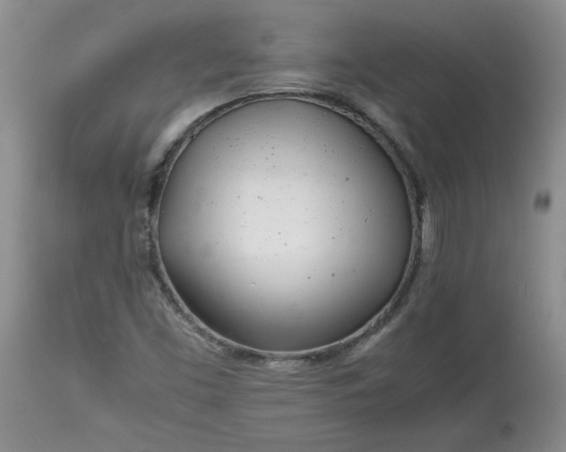 X0000113621453200910021816