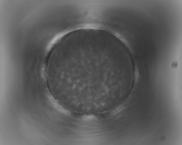 X0000113621454200910021816