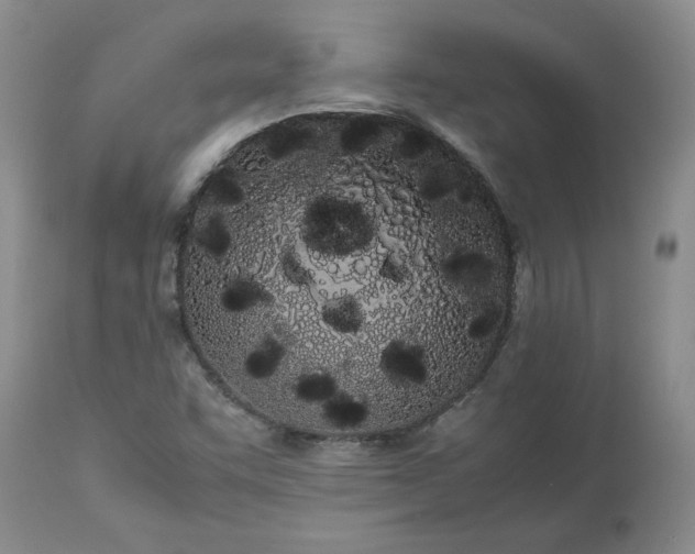 X0000113621455200910021816