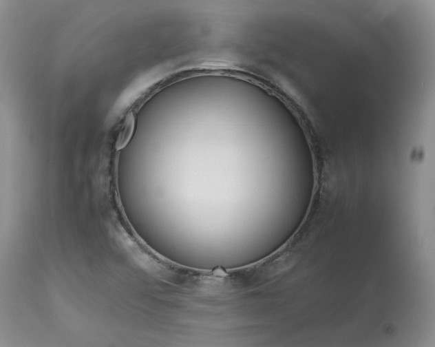 X0000113621456200910021816