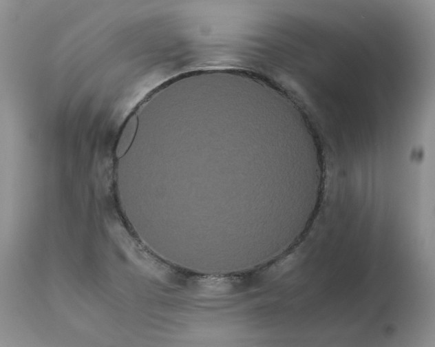 X0000113621457200910021816