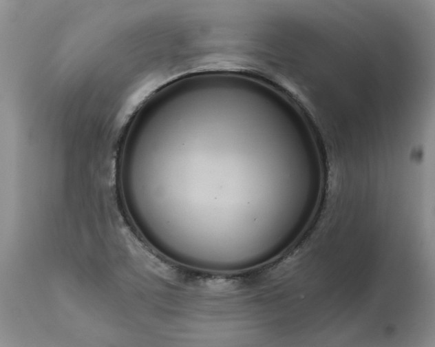 X0000113621459200910021816