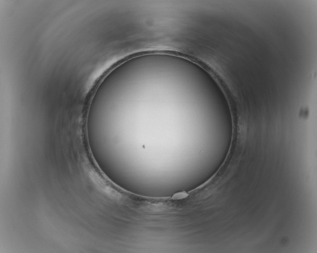 X0000113621460200910021816