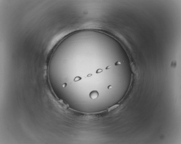 X0000113621461200910021816