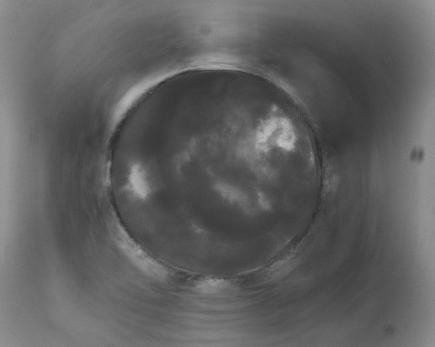 X0000113621462200910021816