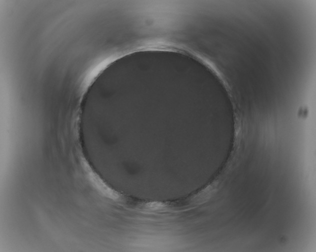 X0000113621463200910021816