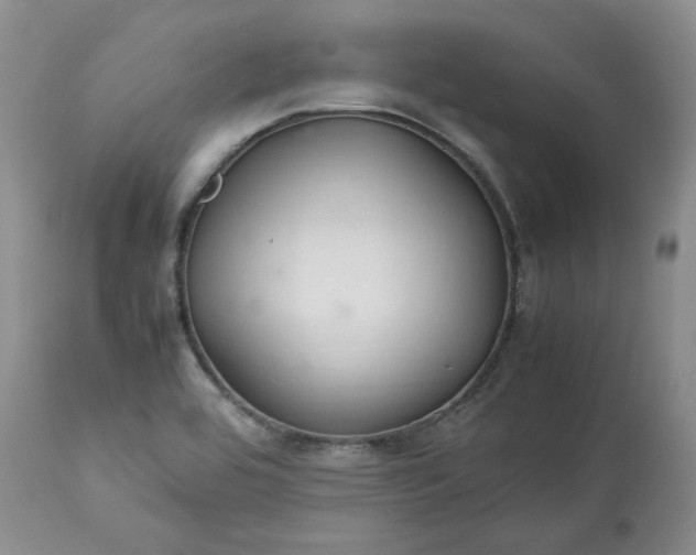 X0000113621464200910021816