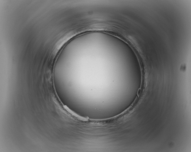 X0000113621465200910021816