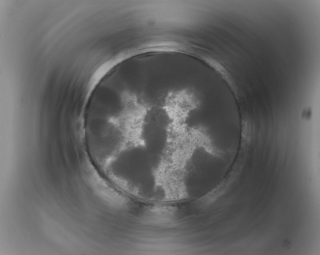 X0000113621466200910021816