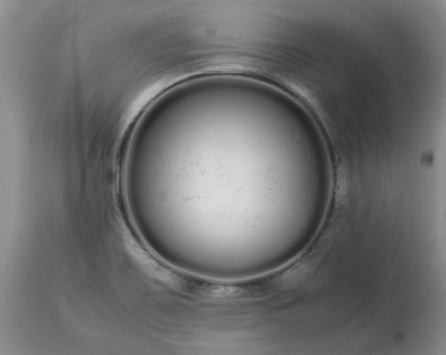 X0000113621467200910021816