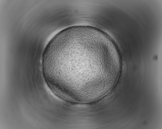 X0000113621468200910021816