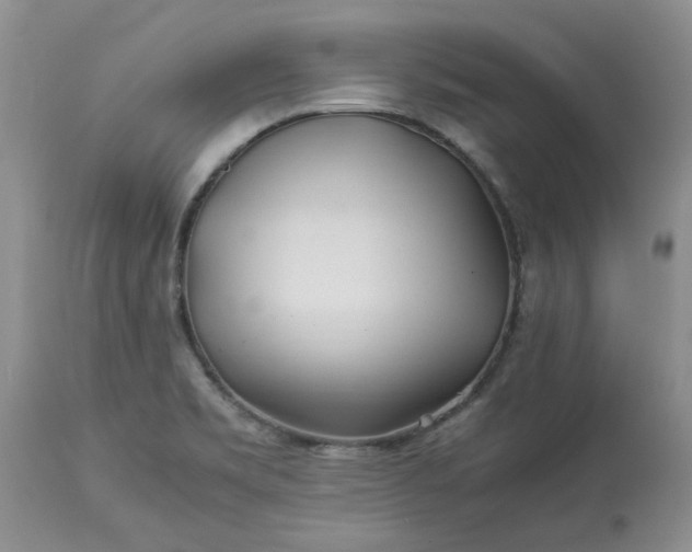 X0000113621469200910021816