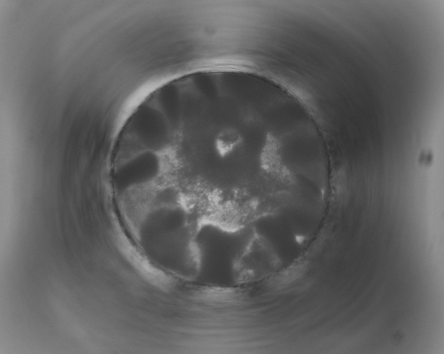 X0000113621470200910021816