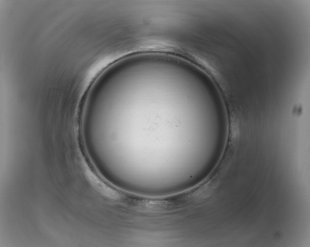 X0000113621471200910021816