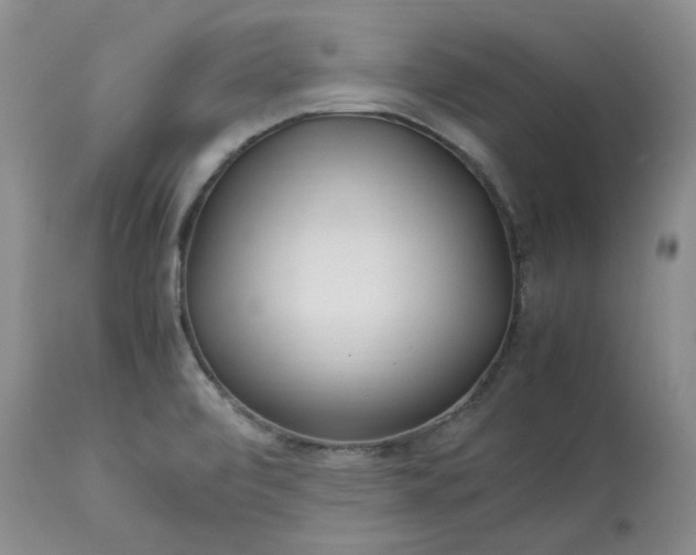 X0000113621472200910021816