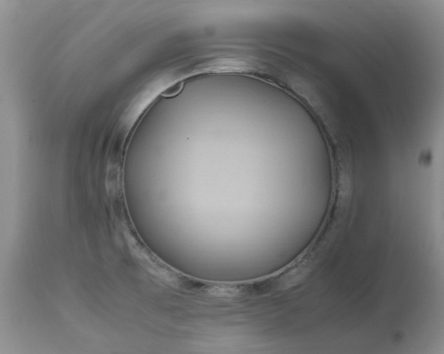 X0000113621473200910021816