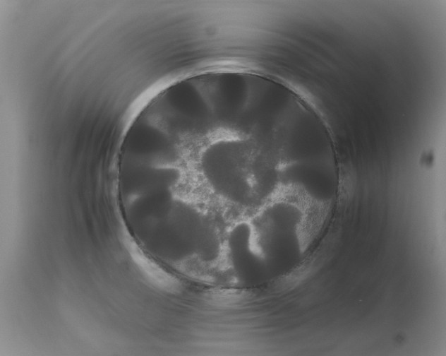 X0000113621474200910021815