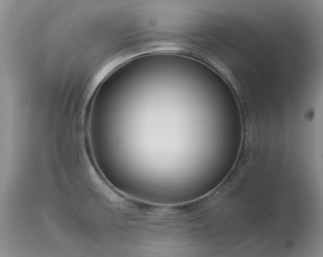 X0000113621475200910021815