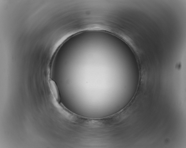 X0000113621476200910021815