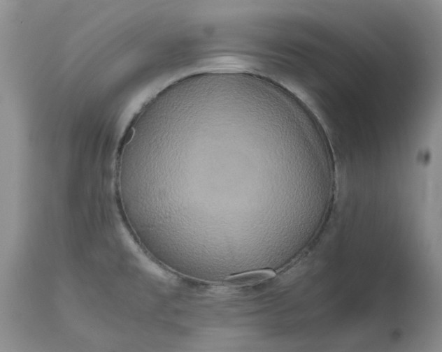 X0000113621477200910021815