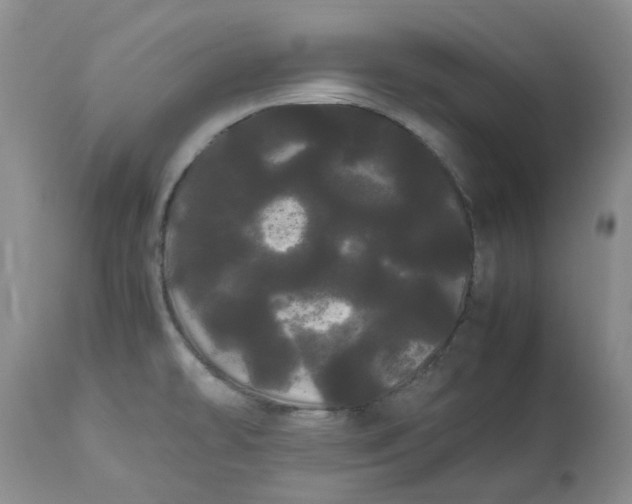 X0000113621478200910021815