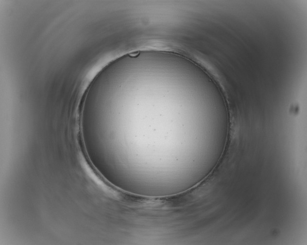 X0000113621479200910021815