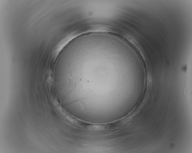 X0000113621481200910021815