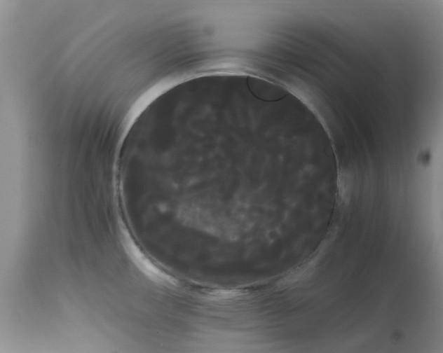 X0000113621482200910021815