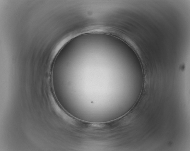 X0000113621483200910021815