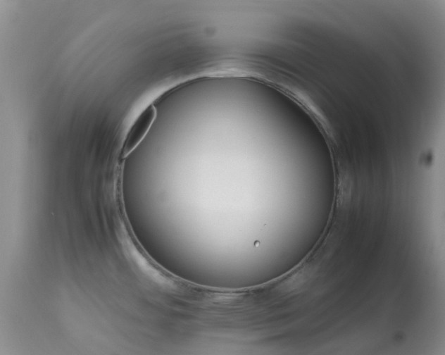 X0000113621484200910021815