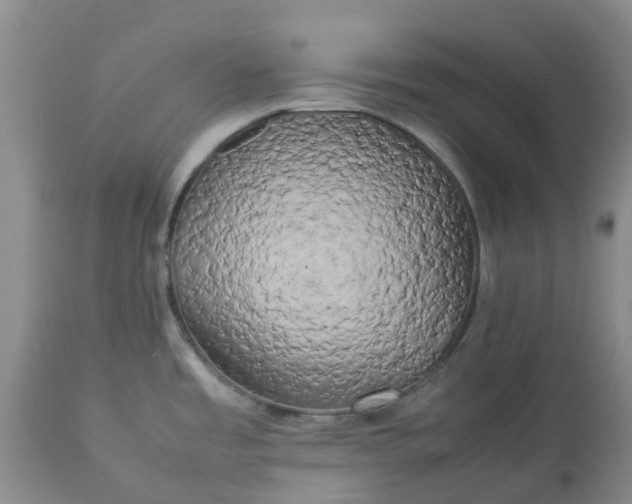 X0000113621485200910021815