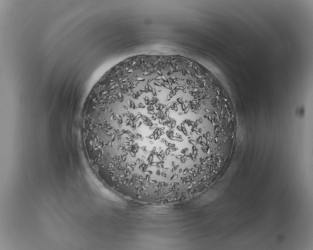 X0000113621486200910021815