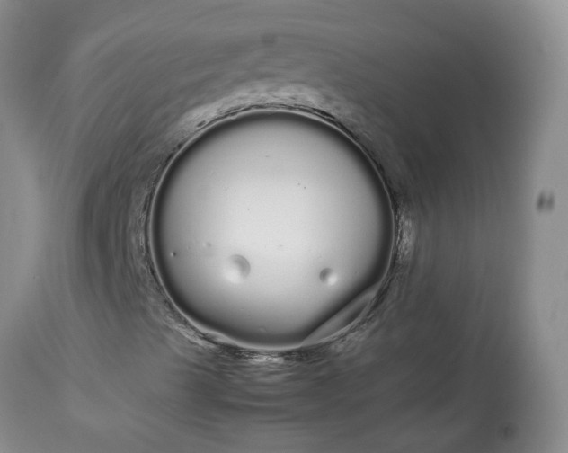 X0000113621489200910021815