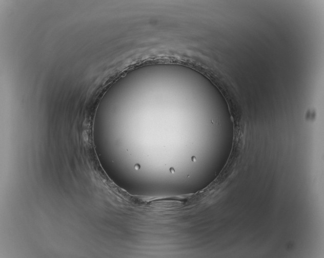 X0000113621490200910021815