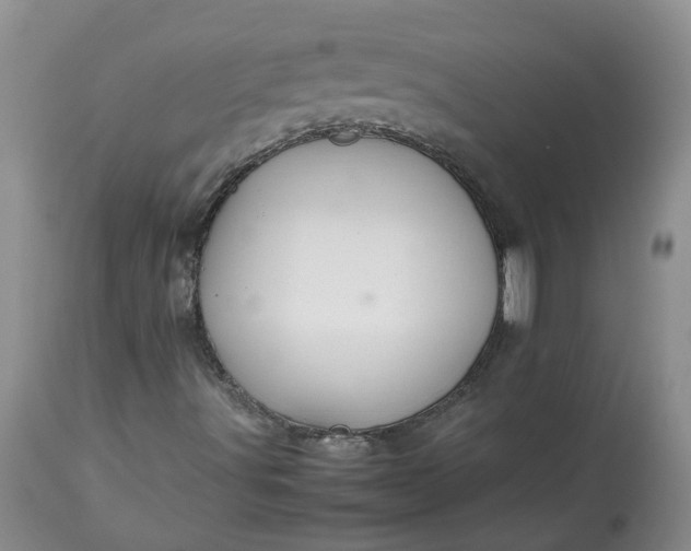 X0000113621491200910021815