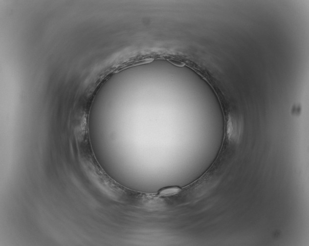 X0000113621492200910021815