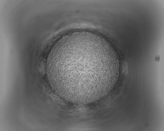 X0000113621493200910021815