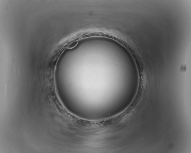 X0000113621494200910021815