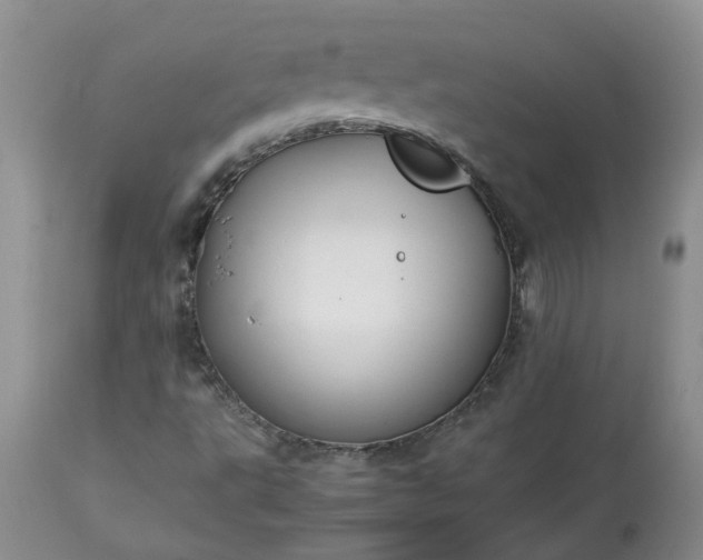 X0000113621495200910021815