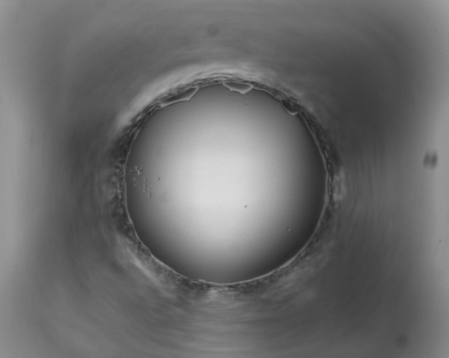 X0000113621496200910021815