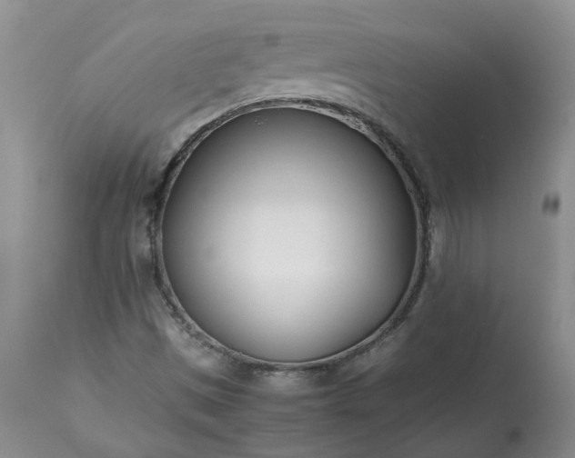 X0000113621497200910021815