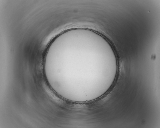 X0000113621498200910021815