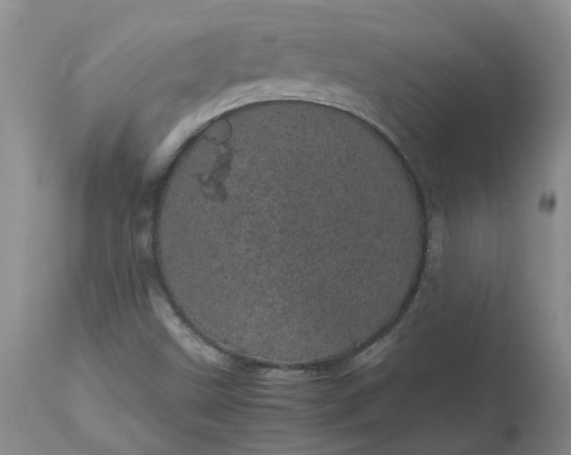 X0000113621499200910021815