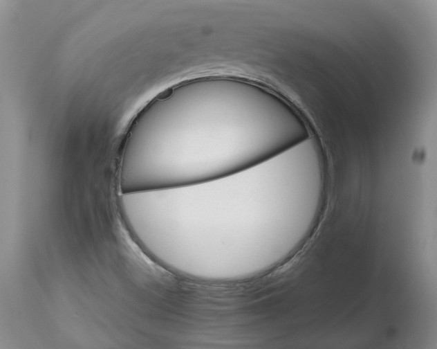 X0000113621500200910021815