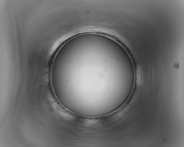 X0000113621501200910021815