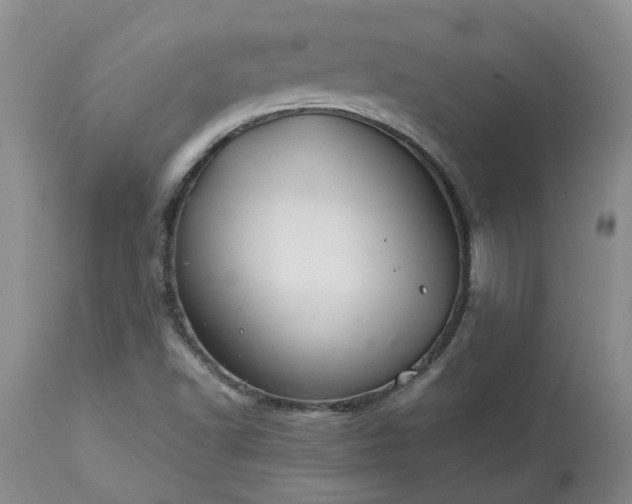 X0000113621502200910021815