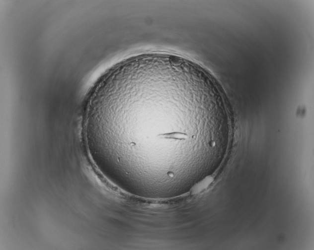 X0000113621503200910021815